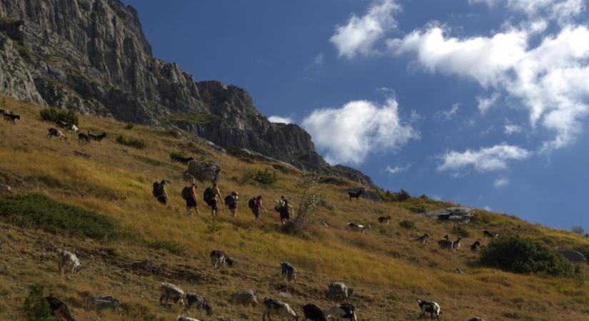 Görögország sokkal több, mint strandolás: hegyeket, kecskéket és a melegítőbe bújt Zeuszt is itt találtuk