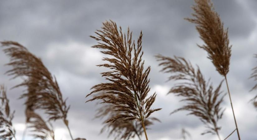 Búcsút mondhatunk a napsütésnek, így alakul az időjárás a Jászkunságban