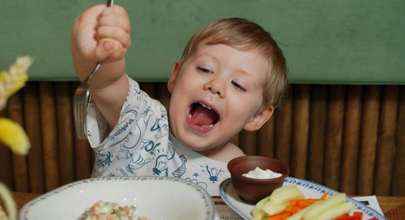 Két Fejér vármegyei óvodai szakember lehet az ország kedvence