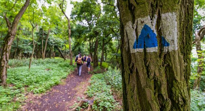 Tudod, merre találhatók ezek a népszerű kirándulóhelyek?