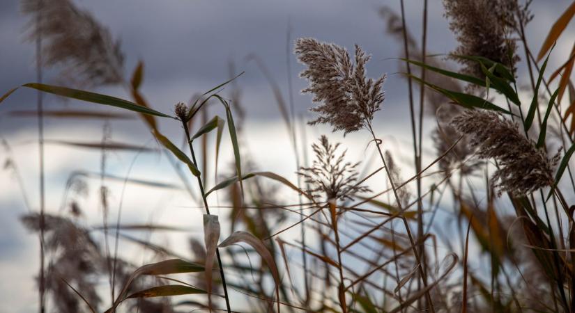 Időnként felhők takarhatják a napsütést