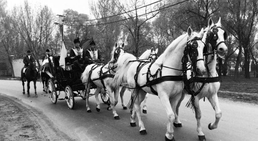 Békét hirdetve lovagoltak be Zalán keresztül Somogyba az olasz lovasok