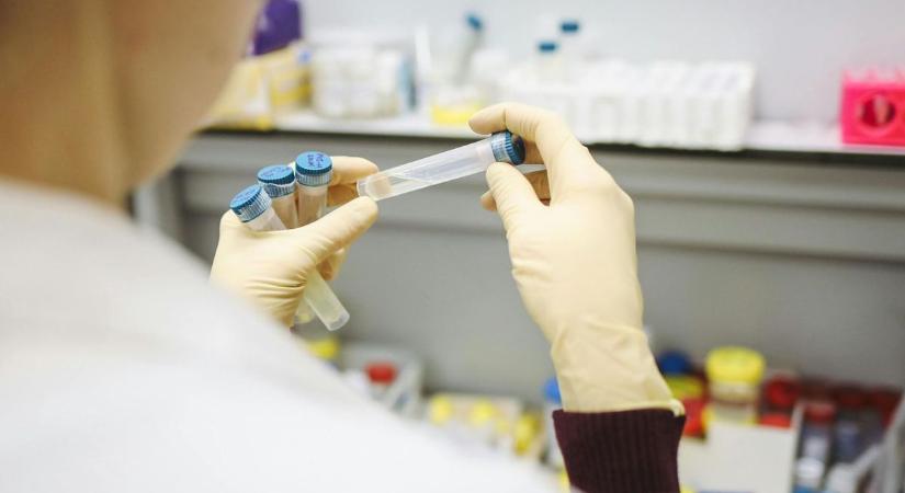 A COVID fertőzések száma Egerben is nő, mutatjuk, mikor tetőzik az influenza