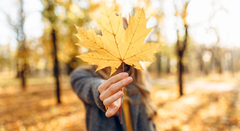 Kétféleképpen alakulhat az idő a héten, de egyikben sincs eső