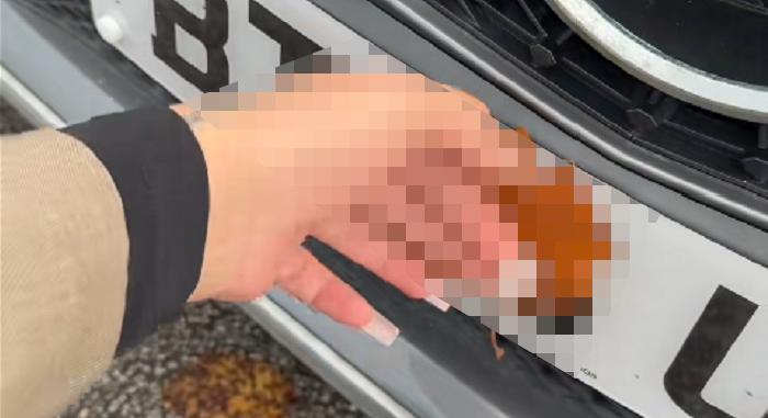 Felháborította a netet a házi készítésű traffipax-blokkoló