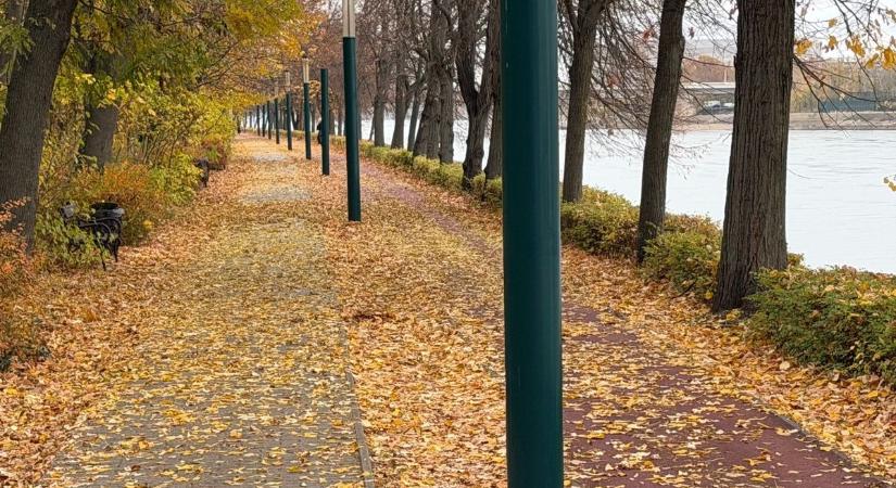 Gyomorforgató és szívet tépő látvány: így hagyta magára a Margit-szigetet a Karácsony-féle városvezetés (GALÉRIA)