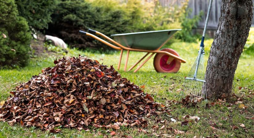 Rendetlennek tűnik a kert, de a sünök jól alszanak: te vállalod?