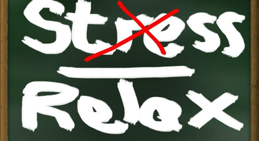 6 jel, hogy mentálisan túlterhelt vagy suli közben