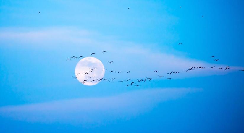 Jön az év legnagyobb teliholdja - A közérzetünkre is hatással lesz a különös égi jelenség