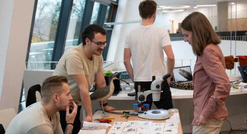 Egy egészség mindenek fölött: debreceni hallgatók tették közzé kutatási eredményeiket