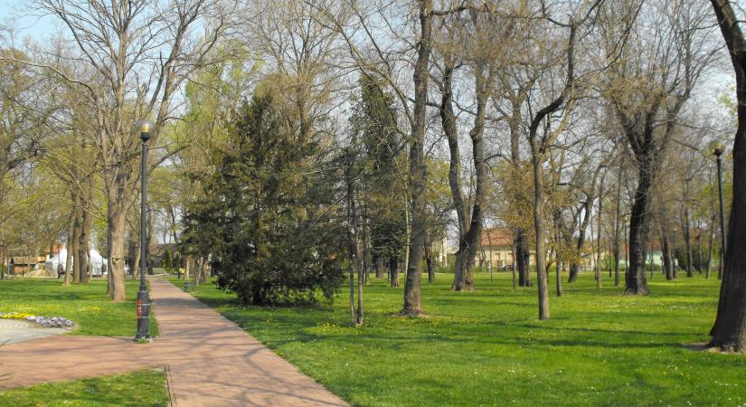 Új arculatot kap Makó legnagyobb parkja, megvan a forrás