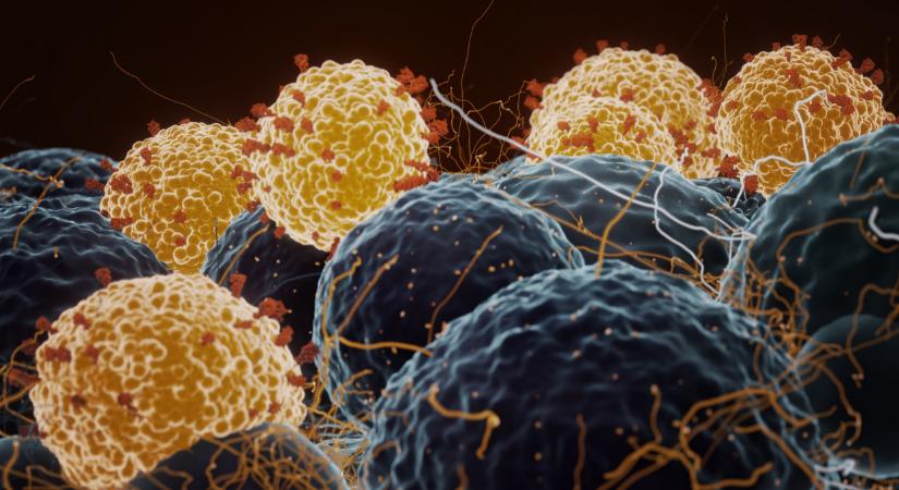 Újrakezdődhet az egész koronavírus-járvány? Ijesztő baktériumot találtak egy denevérben, ilyet már láttunk egyszer