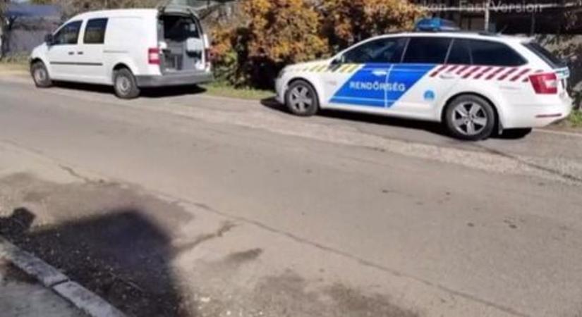 Éhező kutyákat mentettek az állatvédők és a rendőrök Körmenden