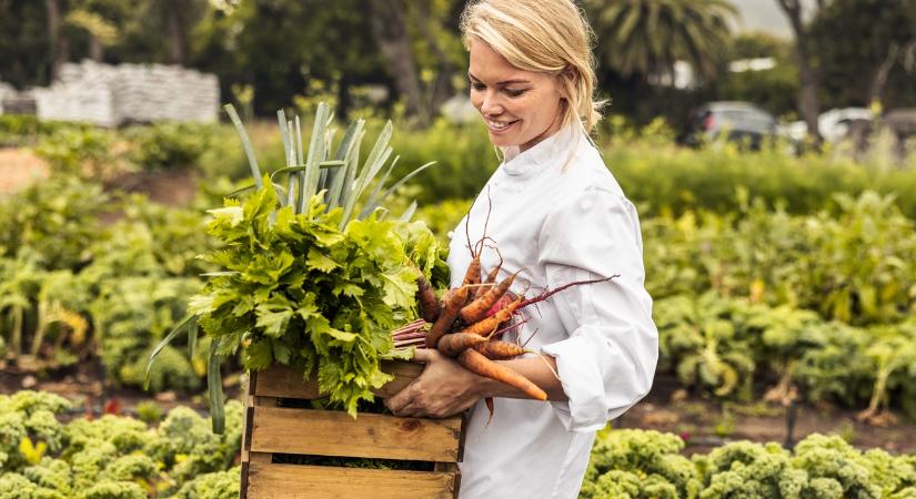 Kiderült, mi a legegyszerűbb módja a stabil vevőkör kiépítésének