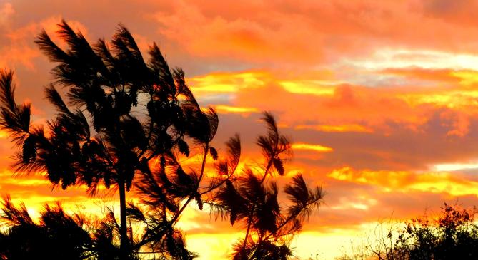 Új fővárosi szélrekord született hétfőn