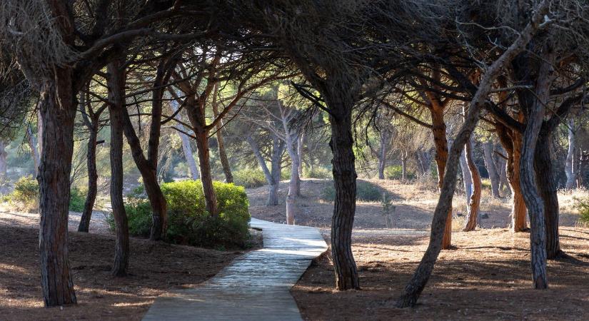 Új erőmű épül az ország közepén, önkívület állapotban az egyik vármegye lakói