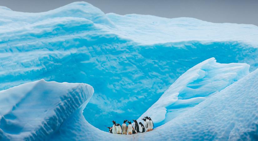 Így nézne ki az Antarktisz, ha az összes jég eltűnne róla