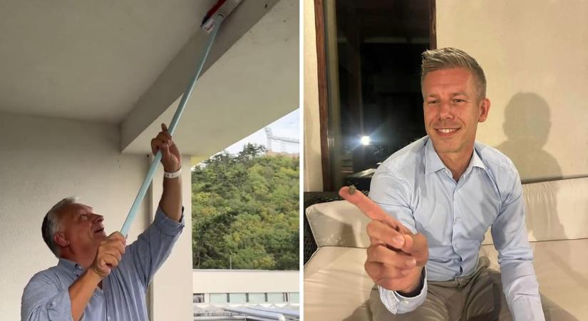 Mi lehet Magyar Péterből, kivé lett Orbán Viktor? HVG Címlapsztori a politikai vezetőkről