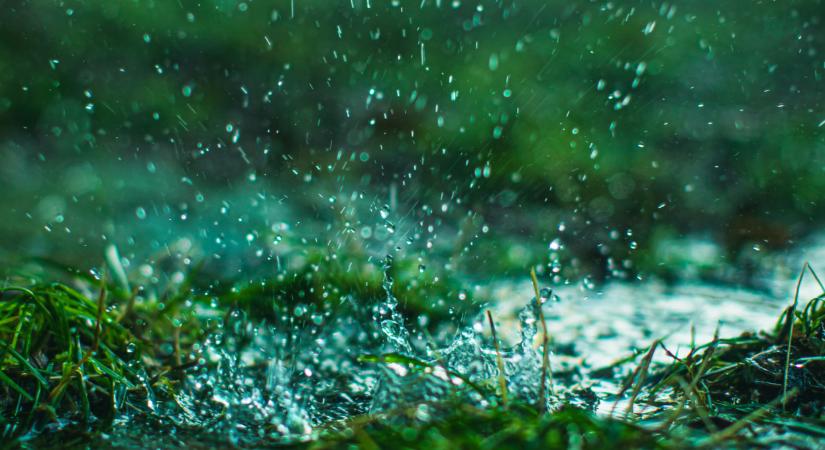 Itt a megoldás aszály ellen? Megdöbbentő felfedezés segíthet