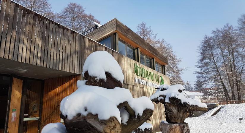 Adventi Zsibongás a Medvehagyma Háznál 2025 Orfű