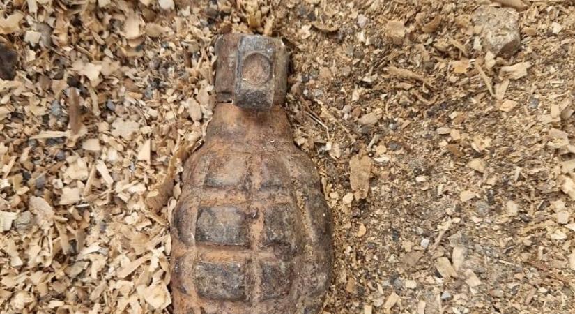 Második világháborús kézigránátot találtak egy konténerben Marosvásárhelyen