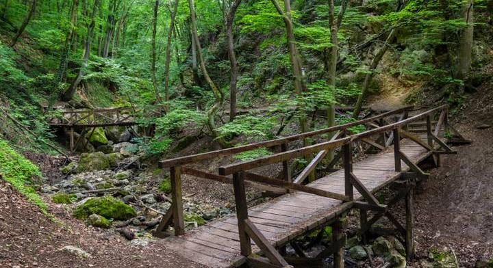 Lezárták a fővároshoz közeli, népszerű kirándulóhelyet: ez az oka