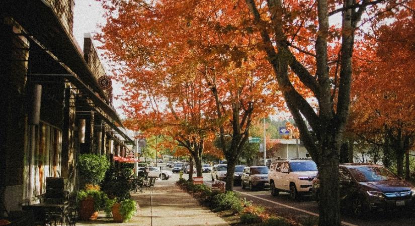 A nap vagy a köd lesz a győztes?