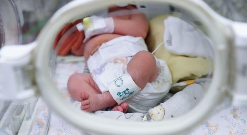 Élete a koraszülöttek fejlesztése, kitüntetést kapott a győri alapítvány vezetője