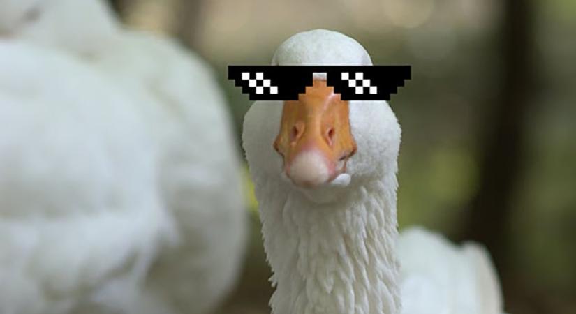 Hétvégén rendezik a szombathelyi Szent Márton-napi vásárt