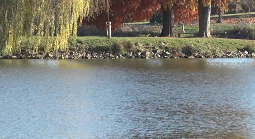 Problémák a Csó-tó vízállásával