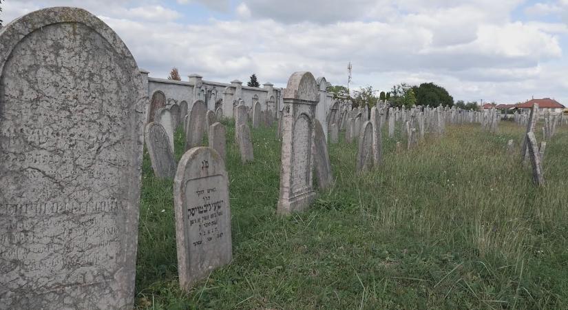 Önkéntes napot hirdetett Paks Város Önkormányzata