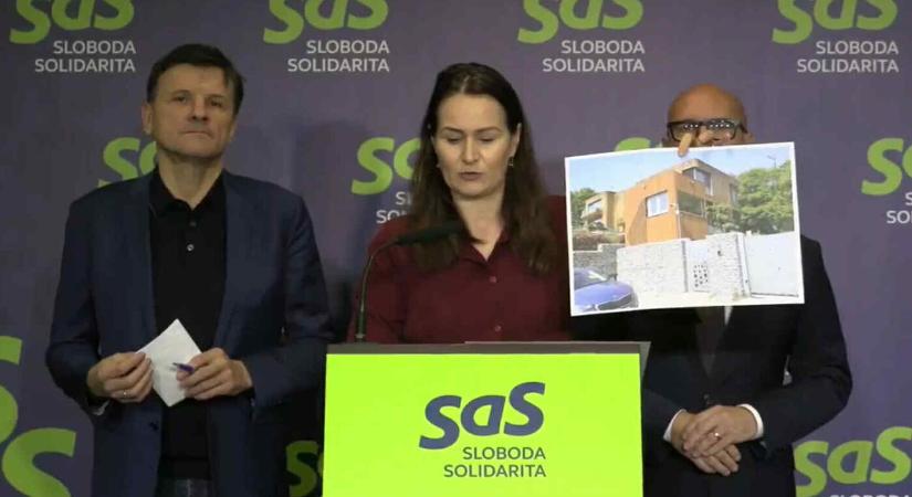 Újabb villa épült közpénzből – állítja a SaS