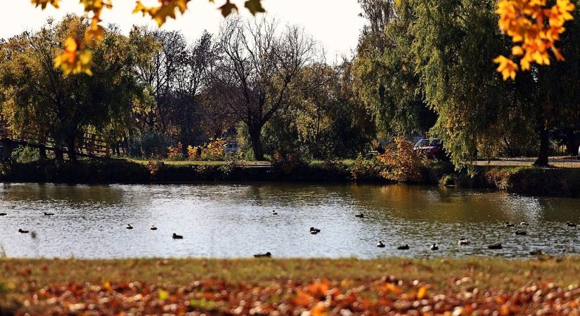 November 5-ei időjárás: így változik meg a hőmérséklet napközben