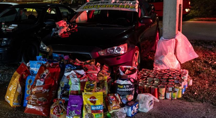 Halloweeni bulin gyűjtöttek a menhelynek az aranyszívű autósok