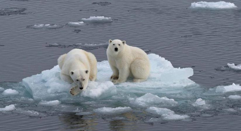 Mintegy 57 százalékkal gyorsabban olvad a Föld jege, mint 30 éve