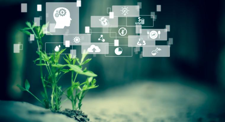 Kiderült, melyik nyelvet érti a legjobban az AI, és az angol még a top 5-ben sincs