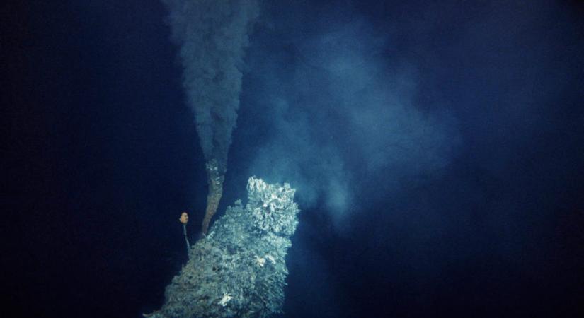 Új létformákat fedeztek fel az óceán mélyén