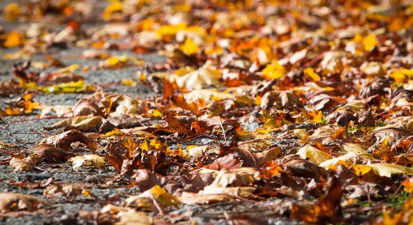 Nagyon hideg, illetve átlagos időjárás volt októberben