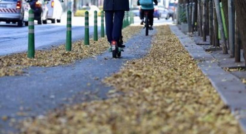 Levélkupacok borítják a Nagykörútat - Karácsony még a falevelekkel sem bír