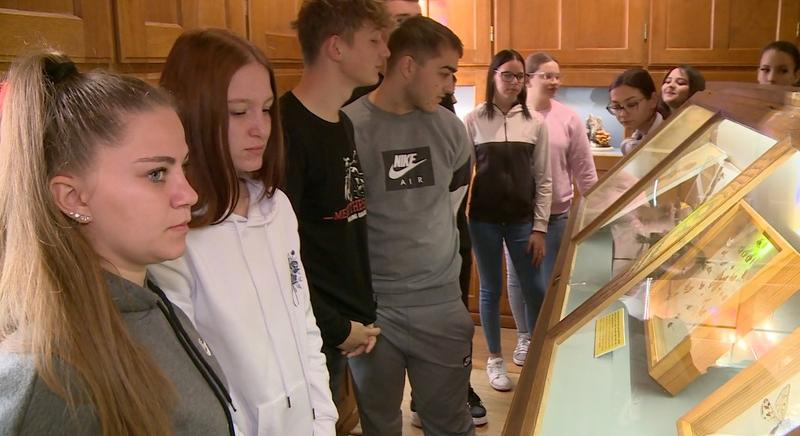 Kulturális kalandozások