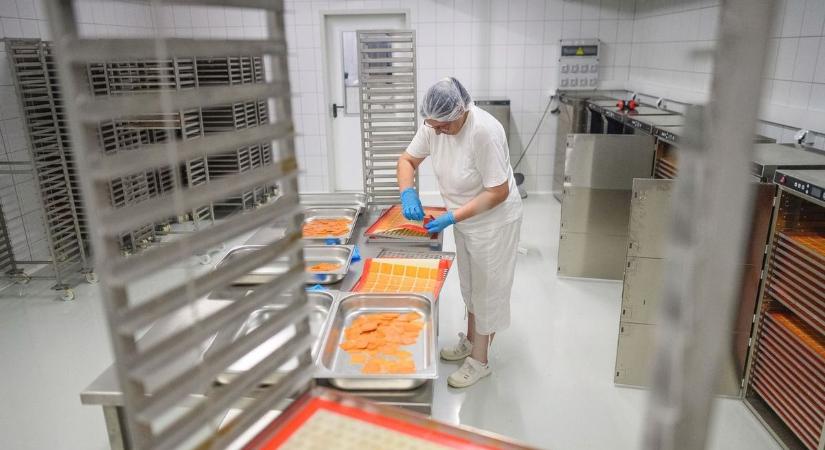 Botrány az ásotthalmi batátaüzem körül, egymásnak esett az ellenzék és a polgármester