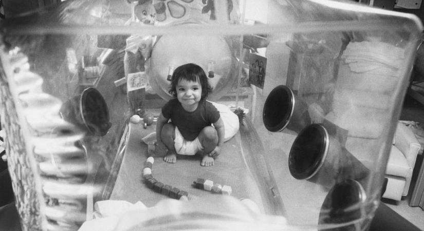 Élet egy buborékban – David Vetter szívszorító története