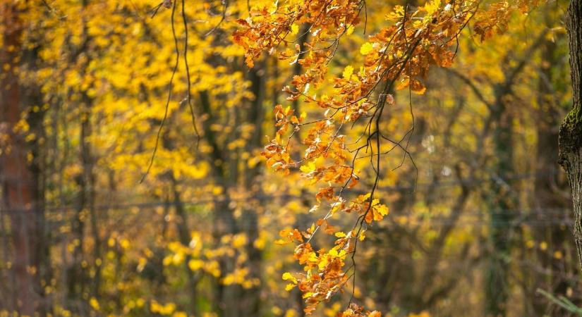 Végre a szebbik arcát láthatjuk az ősznek! Mutatjuk, hogy mit tartogat az időjárás holnap