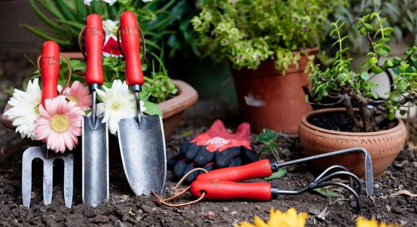 Kezünkben a svájci precizitás: így dolgoznak a FELCO prémium kerti szerszámai