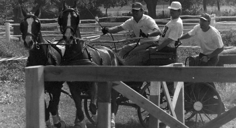 Olyan lovak vágtáztak a majorságban, hogy azt nem hiszed el!