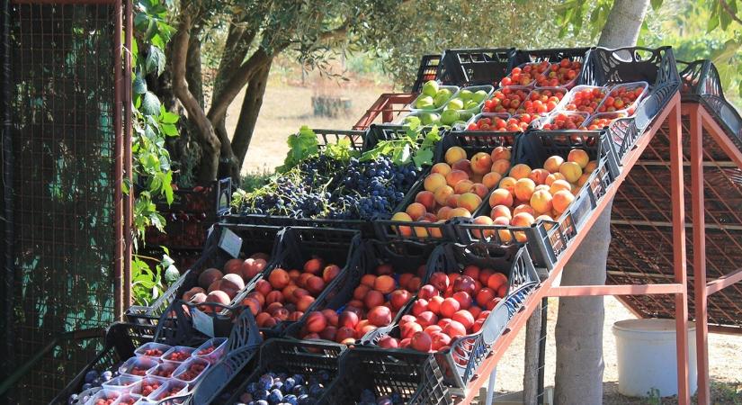 Tisztán látszik, melyik gyümölcsöt lehet most a legjobb áron eladni
