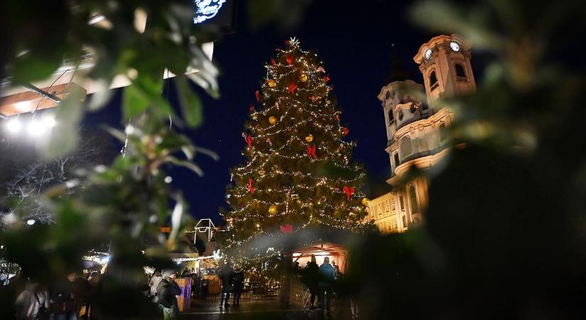 Hamarosan kiderül, mikor és honnan érkezik Eger karácsonyfája - az előző években ilyenek voltak