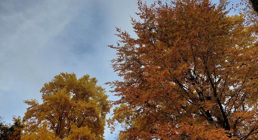 Átlag közeli hőmérsékletű és száraz volt az október