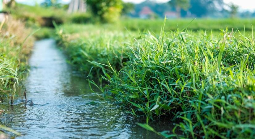 Hát mindenki a gazdáktól várja a vízkrízis megoldását?