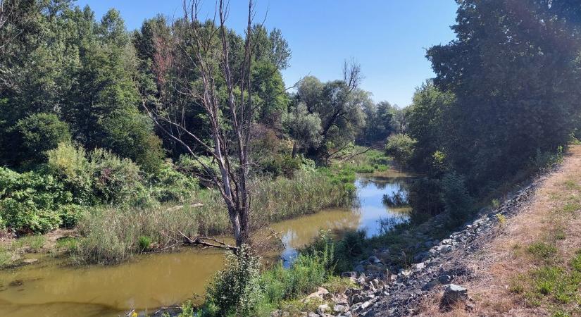 Visszacsatolhatnak egy holtágat a Rába folyóhoz!